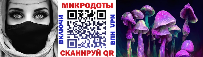 Купить где  Тосно  Галлюциногенные грибы Psilocybine cubensis 